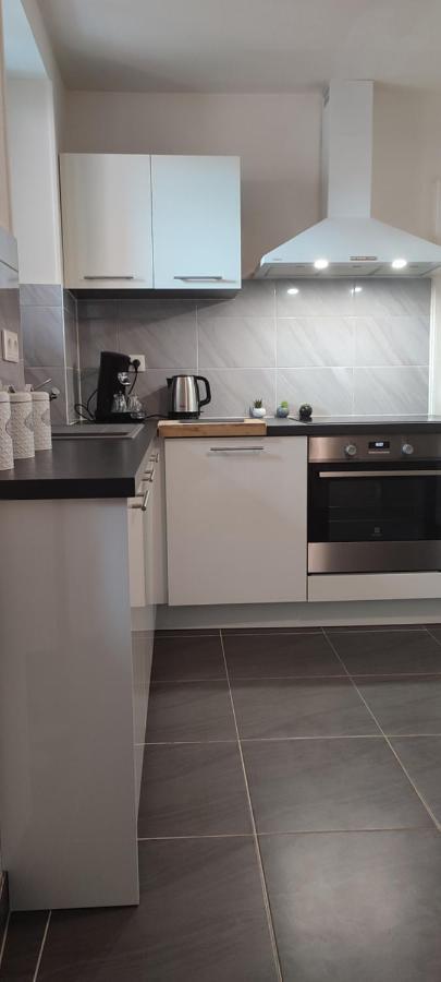 Logement Cosy Et Spacieux, A 2 Pas Du Centre-Ville Colmar Zewnętrze zdjęcie