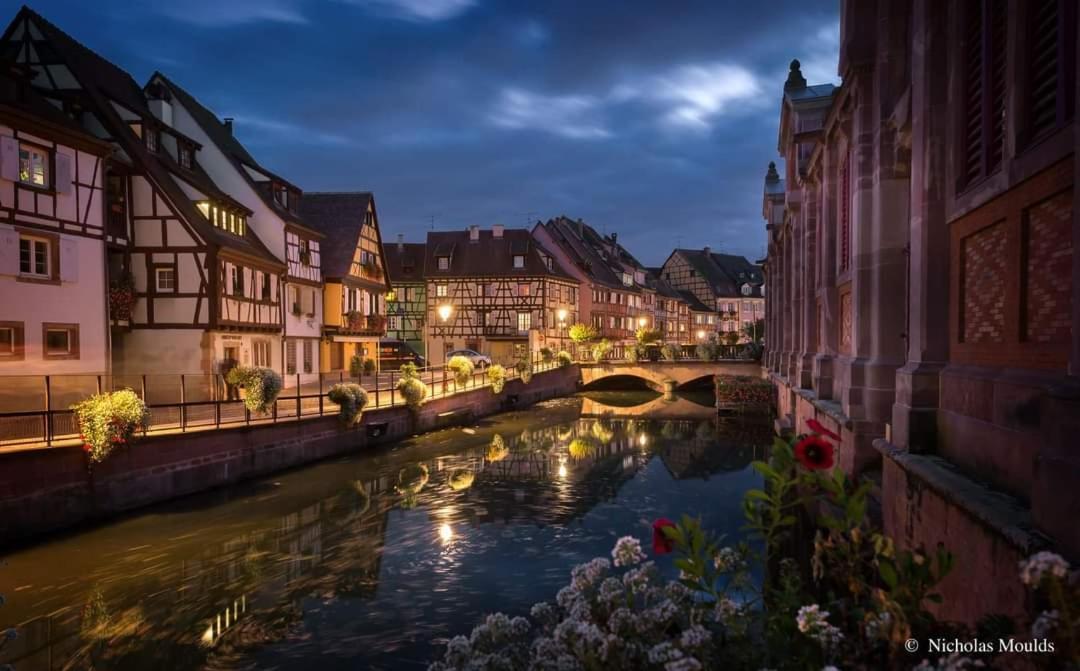 Logement Cosy Et Spacieux, A 2 Pas Du Centre-Ville Colmar Zewnętrze zdjęcie