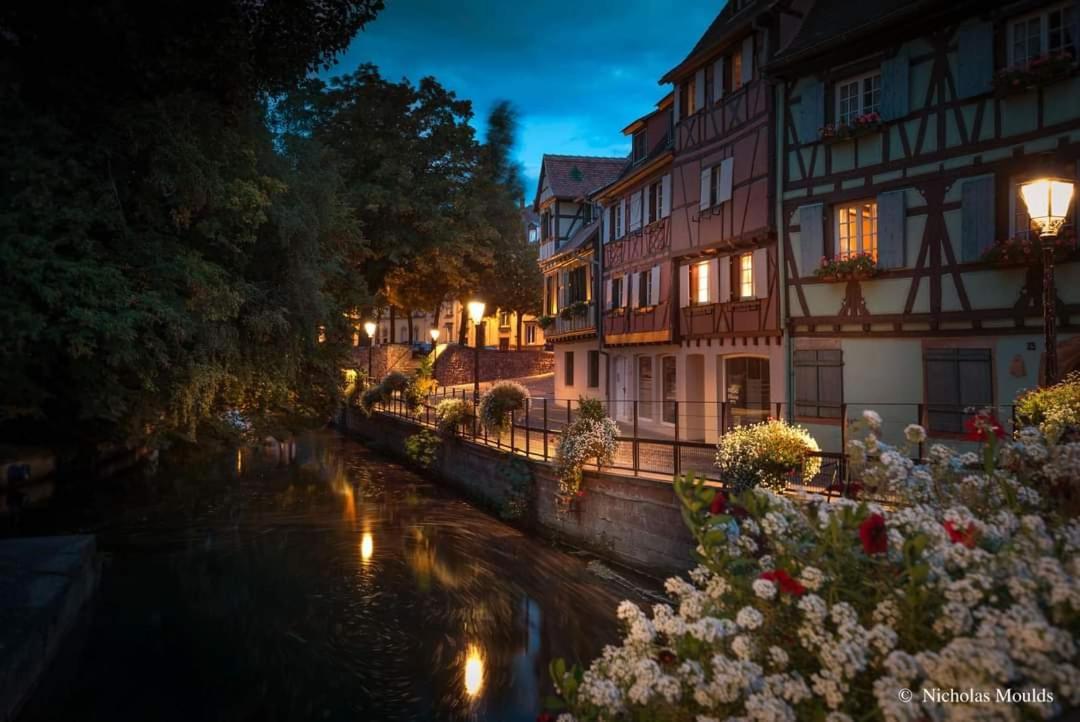 Logement Cosy Et Spacieux, A 2 Pas Du Centre-Ville Colmar Zewnętrze zdjęcie